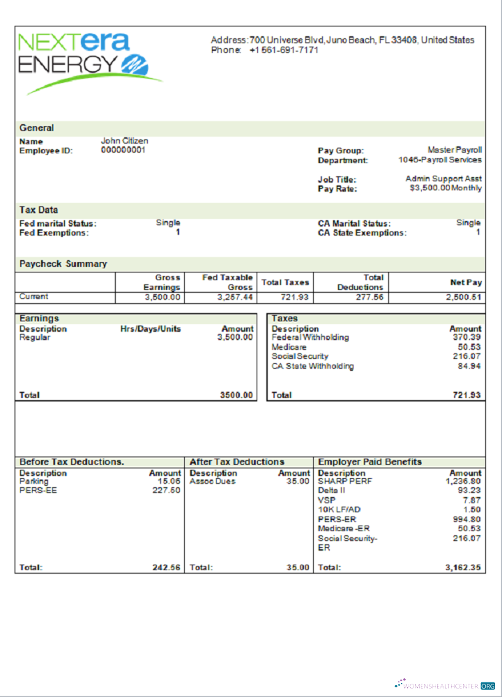 Download USA NextEra Energy electric company pay stub Photoshop template